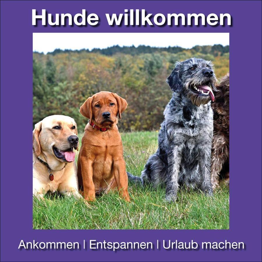 Ferienwohnung Beckendorf Losheim Luaran gambar